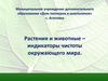 Растения и животные - индикаторы чистоты окружающего мира
