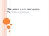 Дыхание и его значение. Органы дыхания