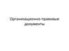Организационно-правовые документы