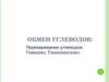 Обмен углеводов: переваривание углеводов. Гликолиз. Глюконеогенез