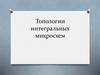 Топологии интегральных микросхем