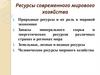 Ресурсы современного мирового хозяйства. Природные ресурсы и их роль в мировой экономике