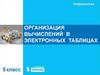 Организация вычислений в электронных таблицах