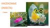 Насекомые (2 часть)