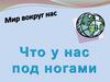 Мир вокруг нас. Что у нас под ногами?
