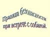 Правила безопасности при встрече с собакой