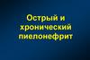 Острый и хронический пиелонефрит