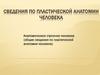 Анатомическое строение человека