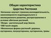 Общая характеристика. Царства Растения