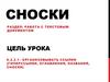 Сноски. Работа с текстовым документом