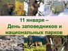 День заповедников и национальных парков ( подготовительная группа)