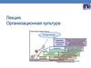 Организационная культура. Лекция 10