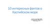 10 интересных фактов о Каспийском море