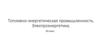 Топливно-энергетическая промышленность. Электроэнергетика