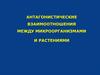 Антагонистические взаимоотношения между микроорганизмами и растениями