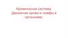 Кровеносная система. Движение крови и лимфы в организме