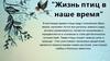 Жизнь птиц в наше время
