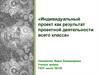 Индивидуальный проект как результат проектной деятельности всего класса