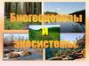 Биогеоценозы и экосистемы. Структура биогеоценоза