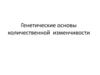 Генетические основы количественной изменчивости