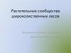 Растительные сообщества широколиственных лесов