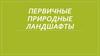 Первичные природные ландшафты