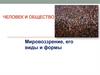 Человек и общество. Мировоззрение, его виды и формы