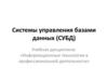 Системы управления базами данных (СУБД)