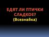 Едят ли птички сладкое? Всезнайка