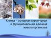 Клетка – основная структурная и функциональная единица живого
