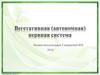 Вегетативная нервная система человека