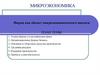 Микроэкономика. Фирма как объект микроэкономического анализа