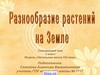 Разнообразие растений на Земле