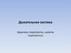 Дыхательная система