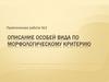 Отличие одного вида растений от другого на основании морфологического критерия