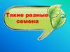Такие разные семена