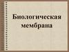 Биологическая мембрана