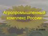Агропромышленный комплекс России