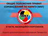 Общие положения правил соревнований по каратэ (WKF)