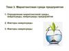 Маркетинговая среда предприятия. Тема 3