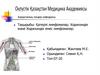 Қатерлі лимфомалар. Ходжкиндік және Ходжкиндік емес лимфомалар