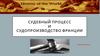 Судебный процесс и судопроизводство Франции