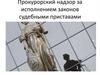 Прокурорский надзор за исполнением законов судебными приставами