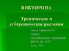 Тропические и субтропические растения (викторина)