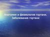 Анатомия и физиология гортани. Заболевания гортани