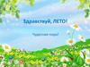 Здравствуй, лето!