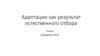 Адаптации как результат естественного отбора