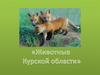 Животные Курской области