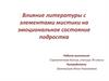 Влияние литературы с элементами мистики на эмоциональное состояние подростка