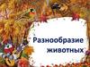 Разнообразие животных